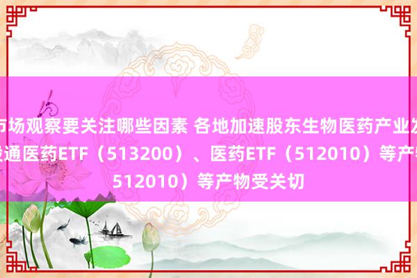 市场观察要关注哪些因素 各地加速股东生物医药产业发展，港股通医药ETF（513200）、医药ETF（512010）等产物受关切