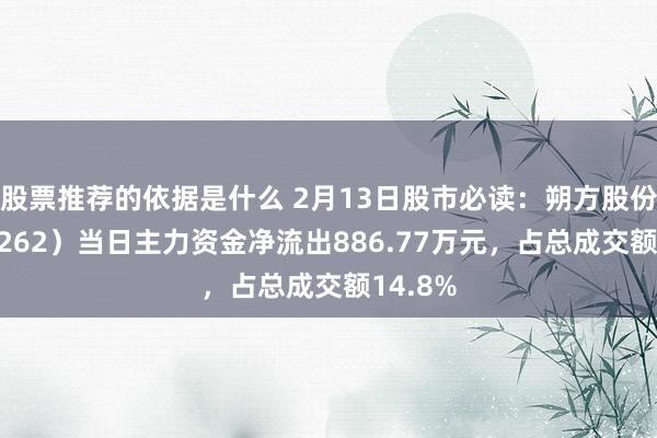 股票推荐的依据是什么 2月13日股市必读：朔方股份（600262）当日主力资金净流出886.77万元，占总成交额14.8%