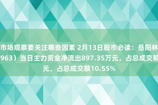 市场观察要关注哪些因素 2月13日股市必读：岳阳林纸（600963）当日主力资金净流出897.35万元，占总成交额10.55%