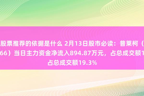 股票推荐的依据是什么 2月13日股市必读：普莱柯（603566）当日主力资金净流入894.87万元，占总成交额19.3%