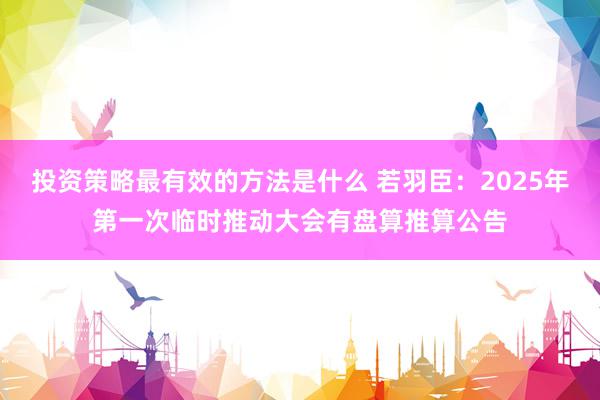 投资策略最有效的方法是什么 若羽臣：2025年第一次临时推动大会有盘算推算公告