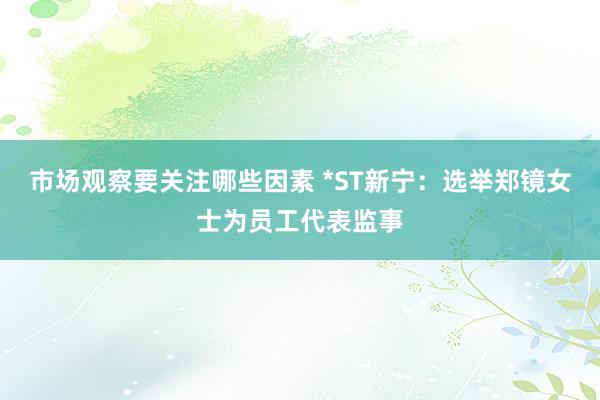 市场观察要关注哪些因素 *ST新宁：选举郑镜女士为员工代表监事