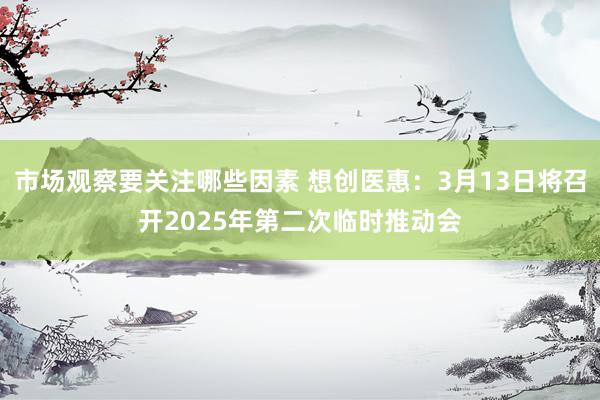 市场观察要关注哪些因素 想创医惠：3月13日将召开2025年第二次临时推动会