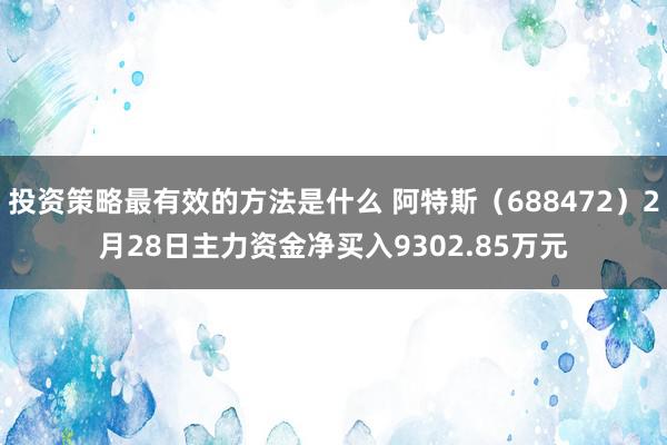 投资策略最有效的方法是什么 阿特斯（688472）2月28日主力资金净买入9302.85万元