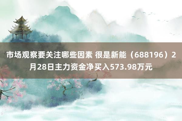 市场观察要关注哪些因素 很是新能（688196）2月28日主力资金净买入573.98万元