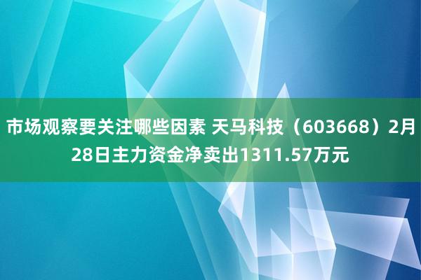 市场观察要关注哪些因素 天马科技（603668）2月28日主力资金净卖出1311.57万元