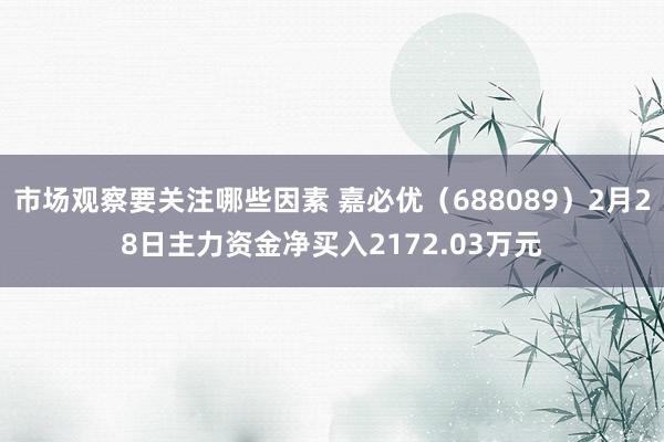 市场观察要关注哪些因素 嘉必优（688089）2月28日主力资金净买入2172.03万元