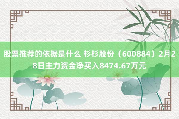 股票推荐的依据是什么 杉杉股份（600884）2月28日主力资金净买入8474.67万元