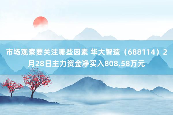 市场观察要关注哪些因素 华大智造（688114）2月28日主力资金净买入808.58万元