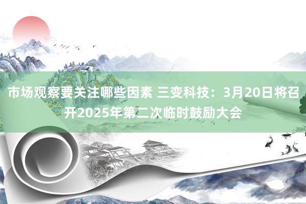 市场观察要关注哪些因素 三变科技：3月20日将召开2025年第二次临时鼓励大会