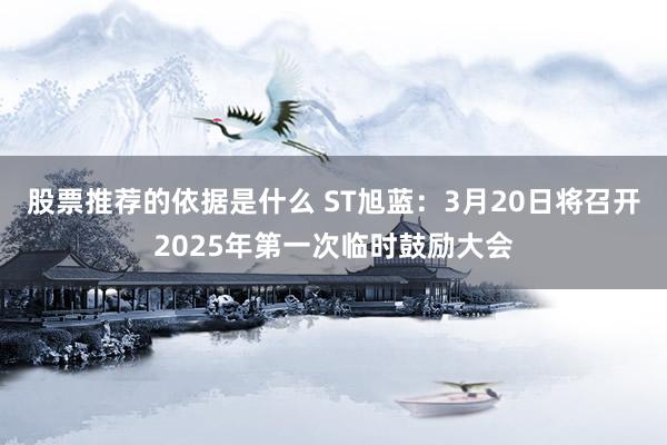 股票推荐的依据是什么 ST旭蓝：3月20日将召开2025年第一次临时鼓励大会