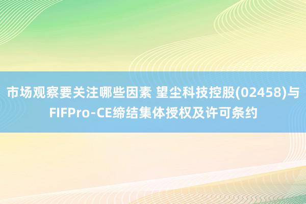 市场观察要关注哪些因素 望尘科技控股(02458)与FIFPro-CE缔结集体授权及许可条约