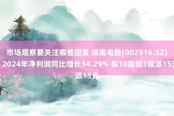 市场观察要关注哪些因素 深南电路(002916.SZ)：2024年净利润同比增长34.29% 拟10股转3股派15元