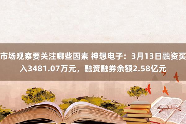 市场观察要关注哪些因素 神想电子：3月13日融资买入3481.07万元，融资融券余额2.58亿元