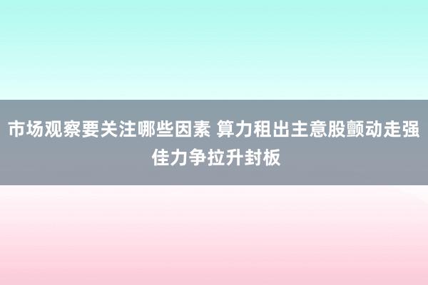 市场观察要关注哪些因素 算力租出主意股颤动走强 佳力争拉升封板