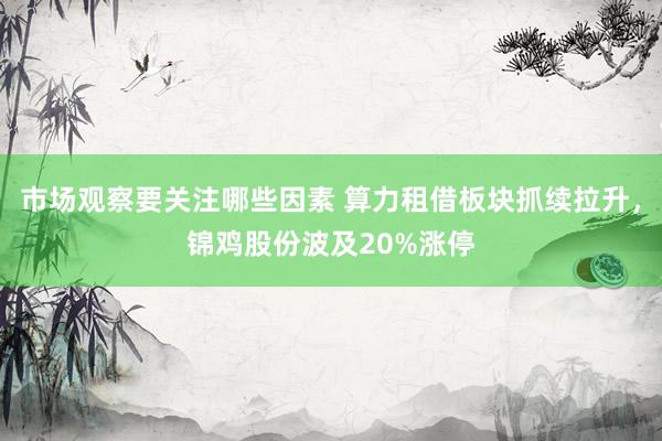 市场观察要关注哪些因素 算力租借板块抓续拉升，锦鸡股份波及20%涨停