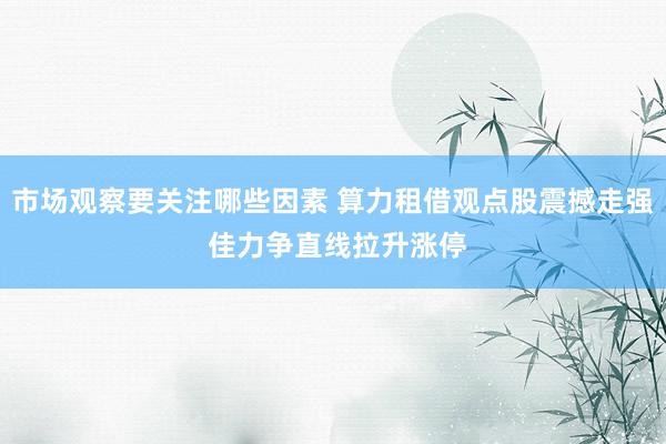 市场观察要关注哪些因素 算力租借观点股震撼走强 佳力争直线拉升涨停