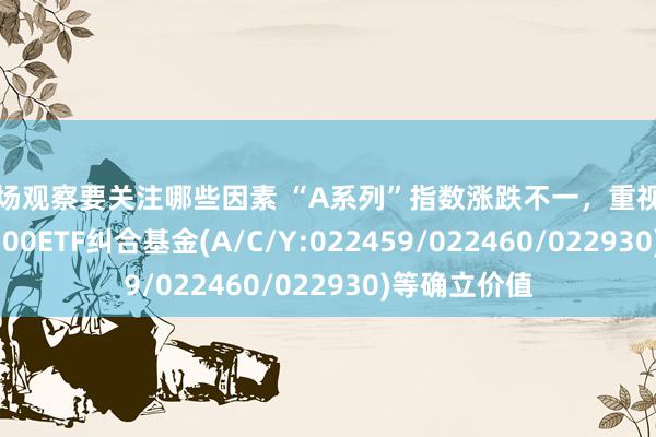 市场观察要关注哪些因素 “A系列”指数涨跌不一，重视易方达中证A500ETF纠合基金(A/C/Y:022459/022460/022930)等确立价值